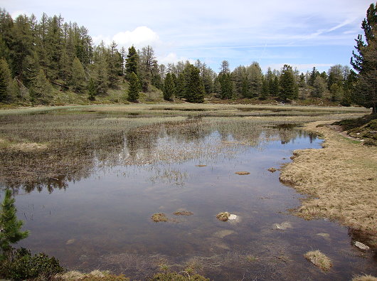 Bonigersee 2090 m/ü.M. - Flachmoor - Naturschutzgebiet