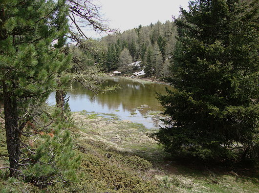 Breitmattensee 2047 m/ü.M. - Naturschutzgebiet