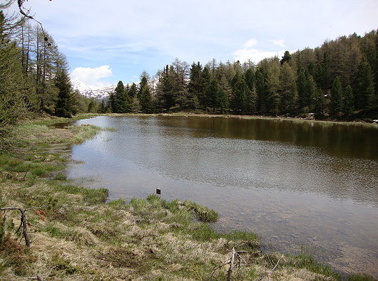 Breitmattensee 2047 m/ü.M. - Hochmoor - Naturschutzgeb