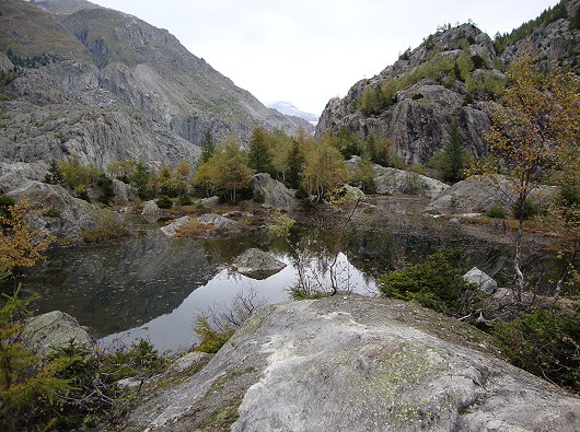 Rastplatz Grünsee - Hochmoor 