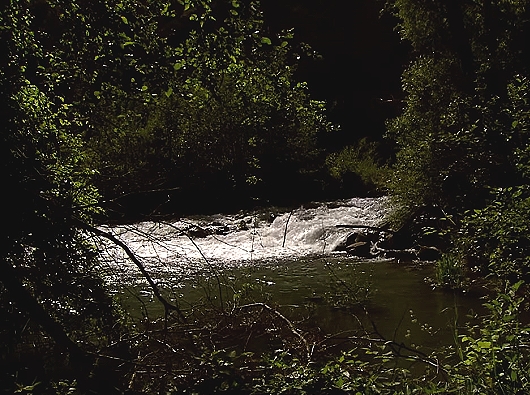 Leuk Naturpark Pfynwald