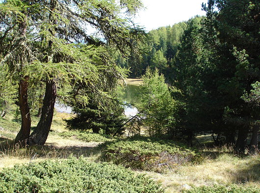 Moosalp Bonigersee