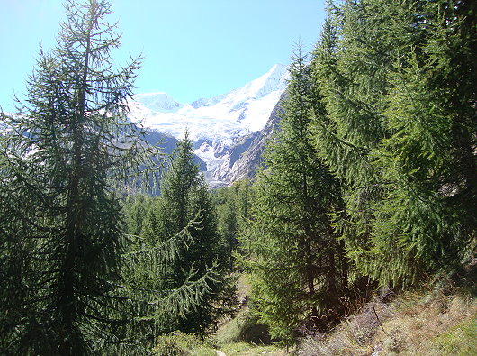 Saas Fee Dorfrundweg Feegletscher