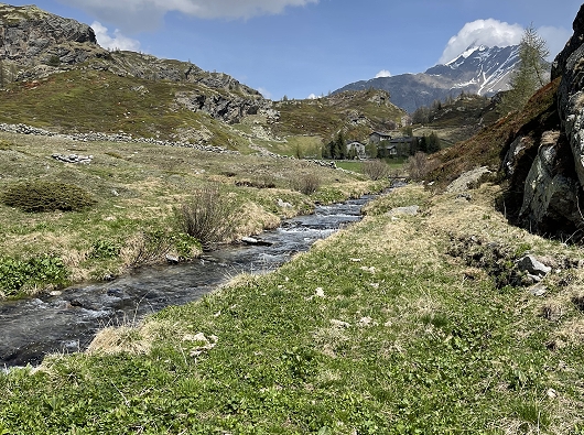 Simplonpass Rundweg Bergalpe - Wildbach