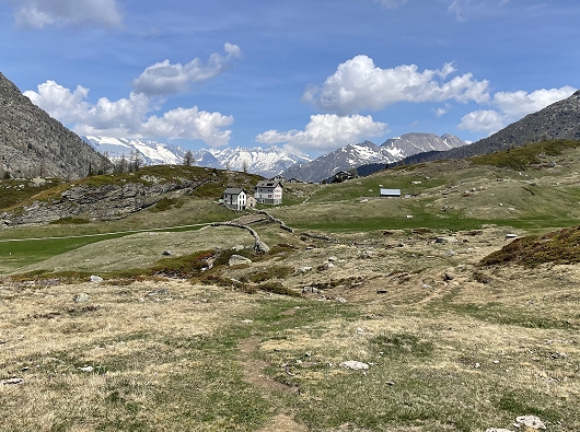 Simplonpass Rundweg Bergalpe