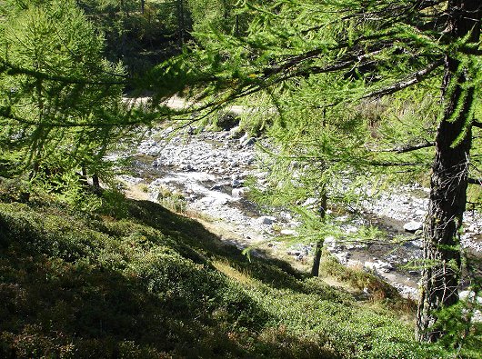 Stockalperweg mit Schrummbach