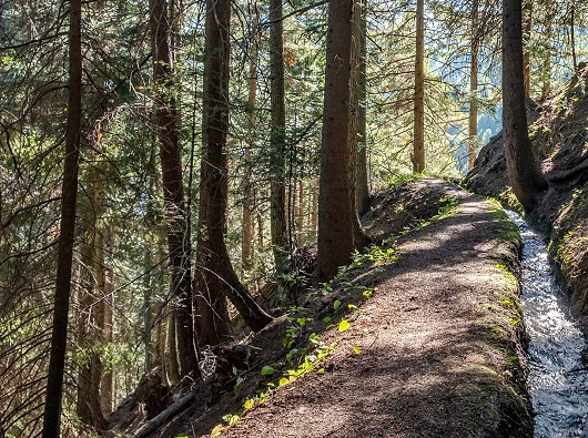 Suone Bärgeri Schallberg-Brig Waldpassage