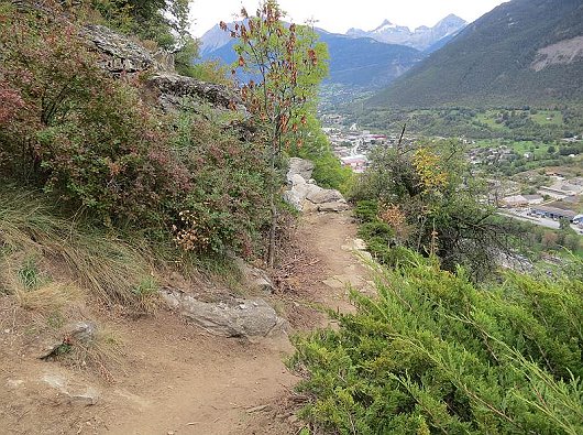 Suone Dieschtneri Suedrampe