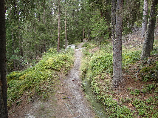 Suone Drieri Graechen