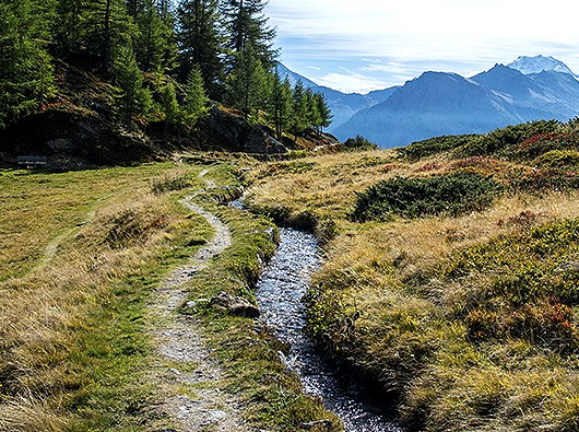 Suone Neesjeri - Nesselalp