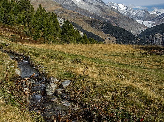 Suone Neesjeri - Belalp - Birgisch - Mund
