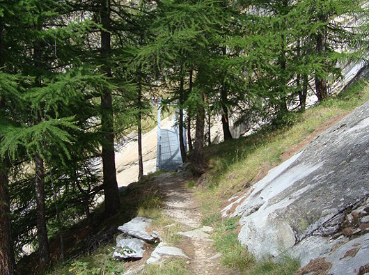 Suone Saas Almagell mit Metallbruecke