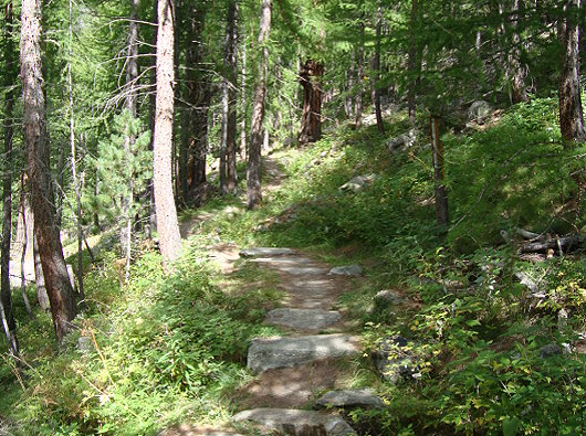 Suone Saas Amlagell mit Waldpassage