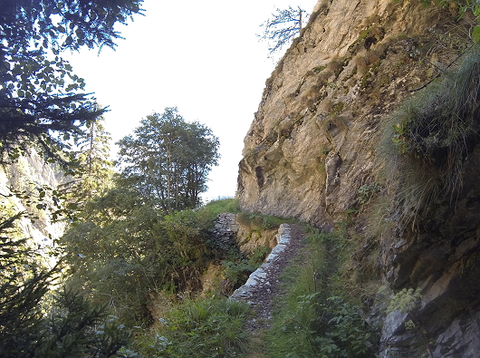 Suone Wyssa 