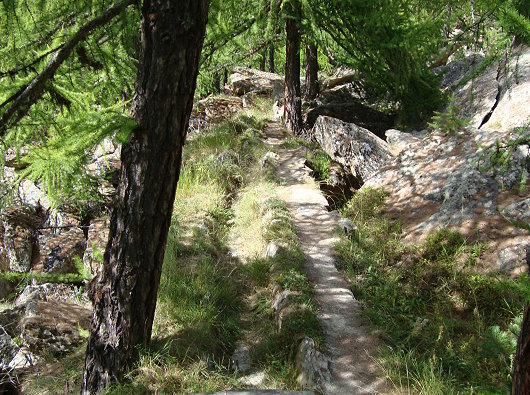 Suonen im Oberwallis