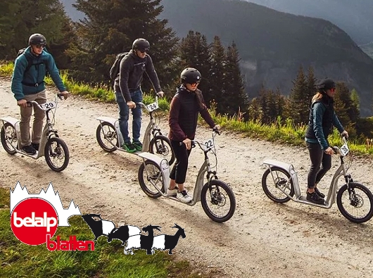 Trotti-Bike Belalp - Blatten