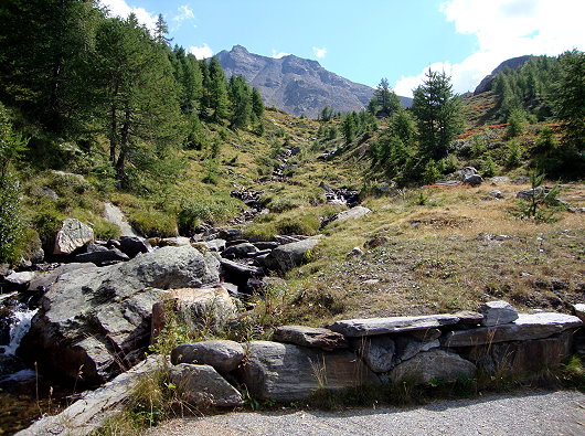 Wasenalp 1969 m/ü.M.