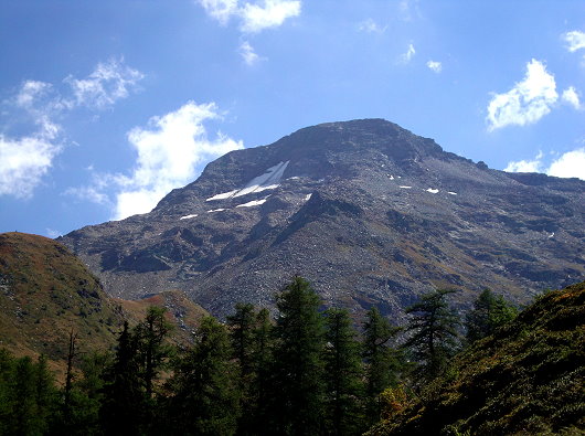Wasenhorn - Wasenalp